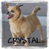 READ CRYSTAL'S STORY